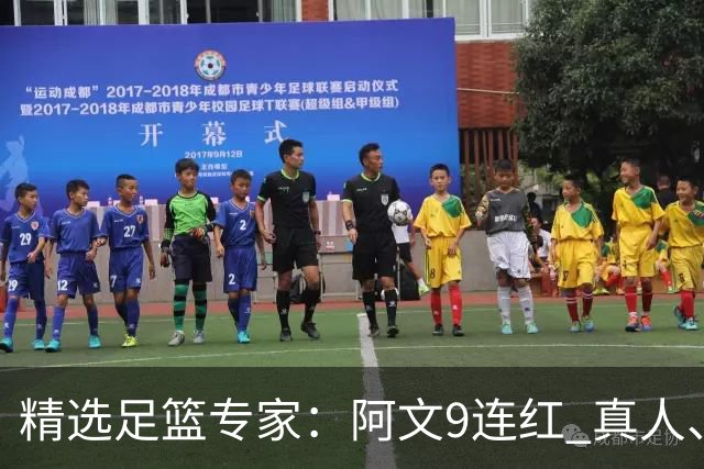 精选足篮专家：阿文9连红 真人、卢西奥、老伟8连红